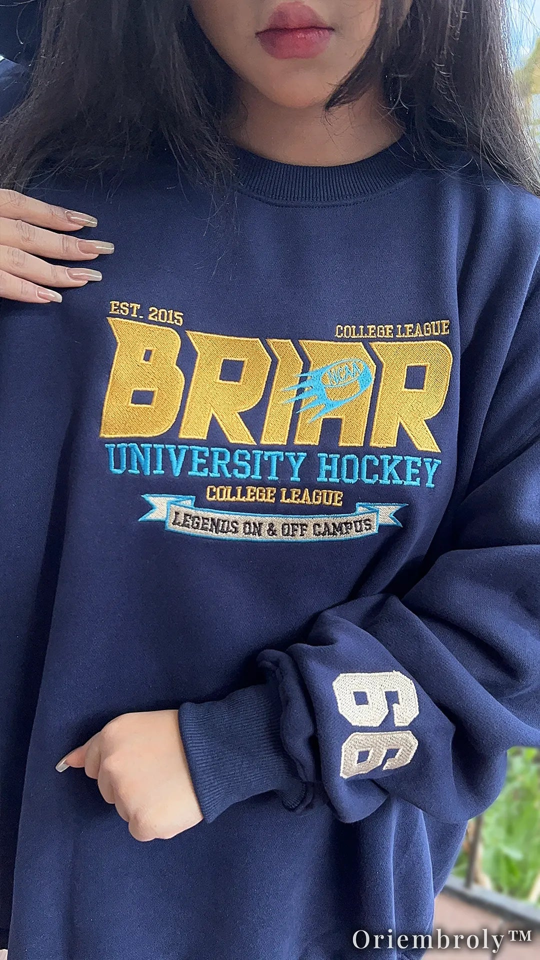 Briar University Hockey Embroidered Sweatshirt – Vintage Collegiate Crewneck