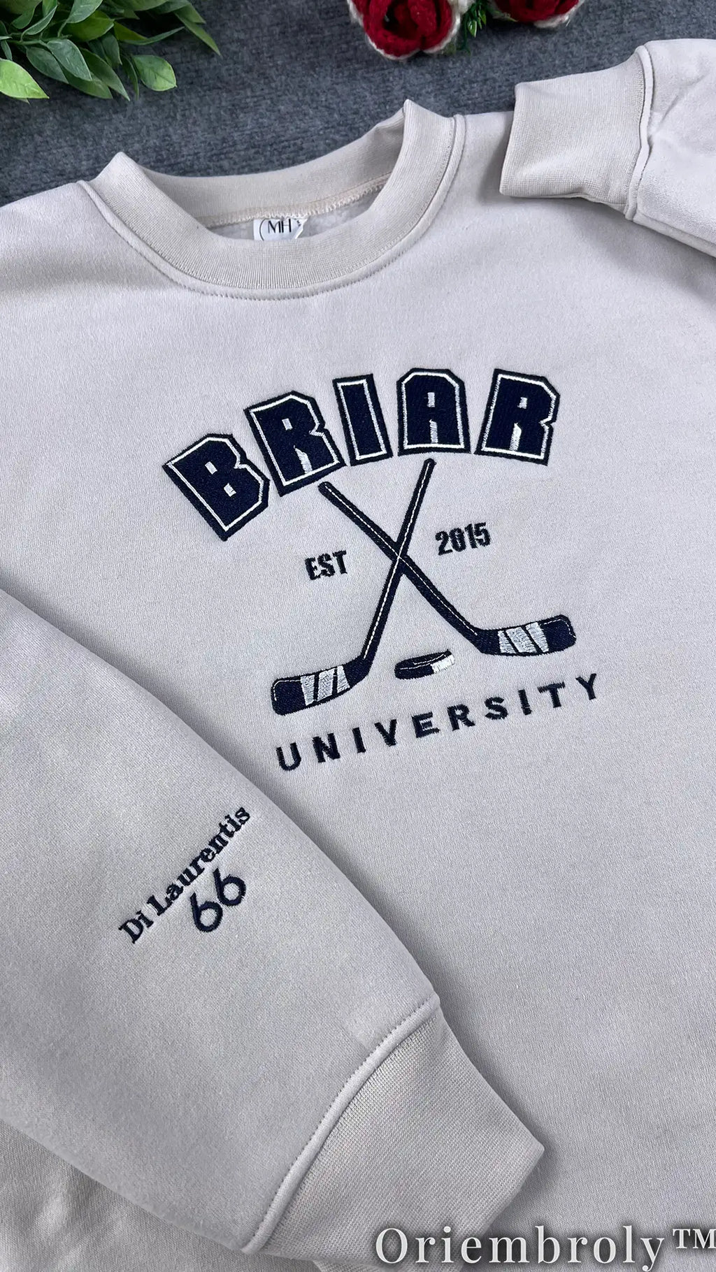 Briar University Collegiate Embroidered Sweatshirt