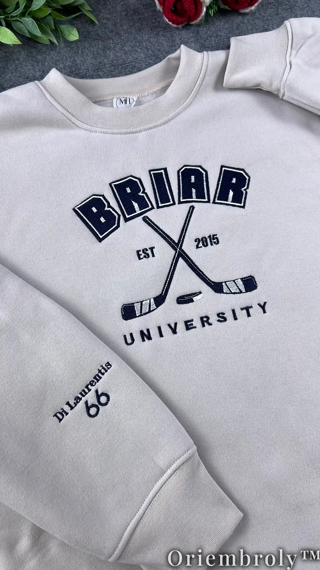 Briar University Collegiate Embroidered Sweatshirt
