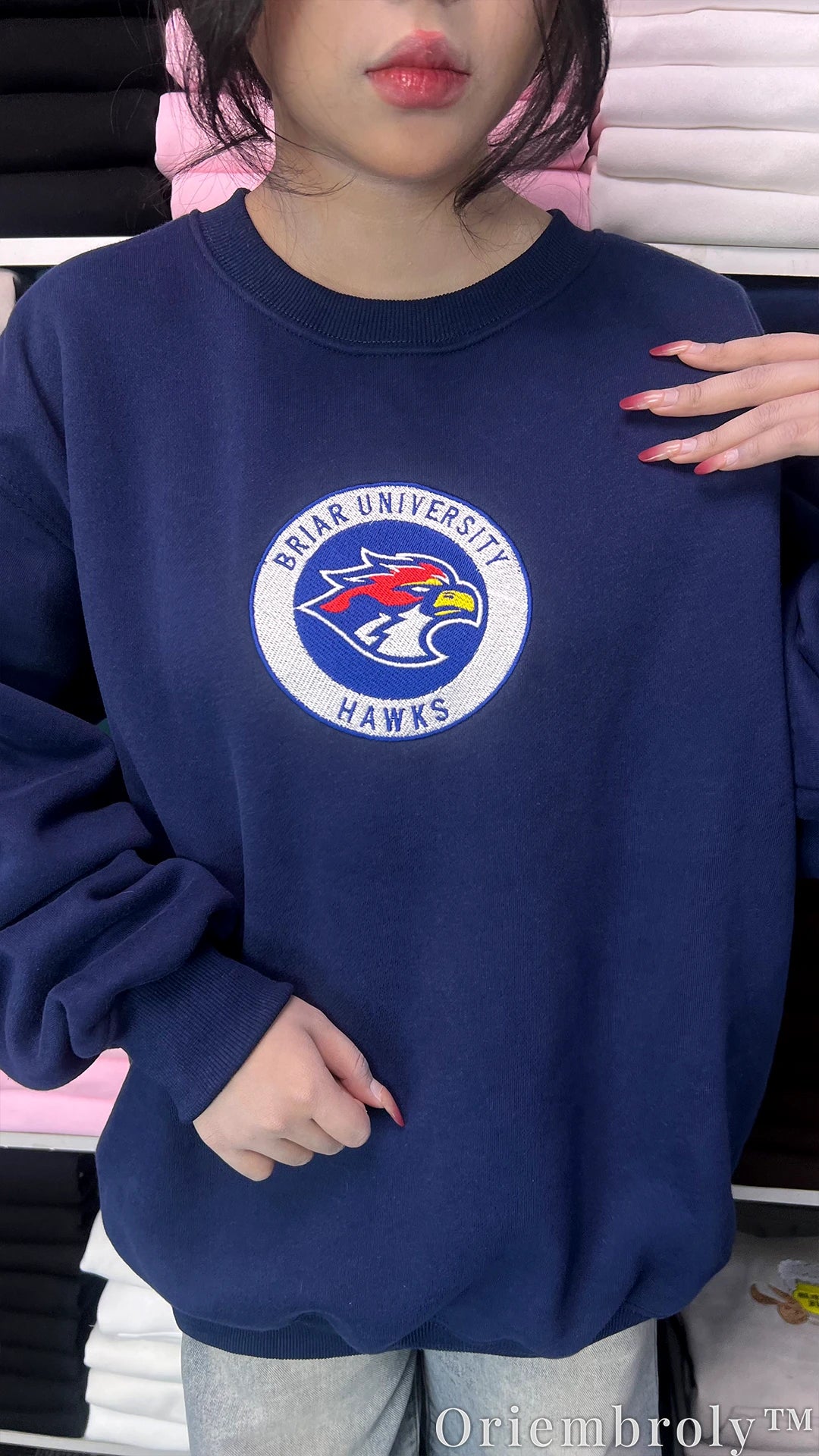 Briar University Hawks Di Laurentis 66 Embroidered Sweatshirt – Hockey Romance Crewneck