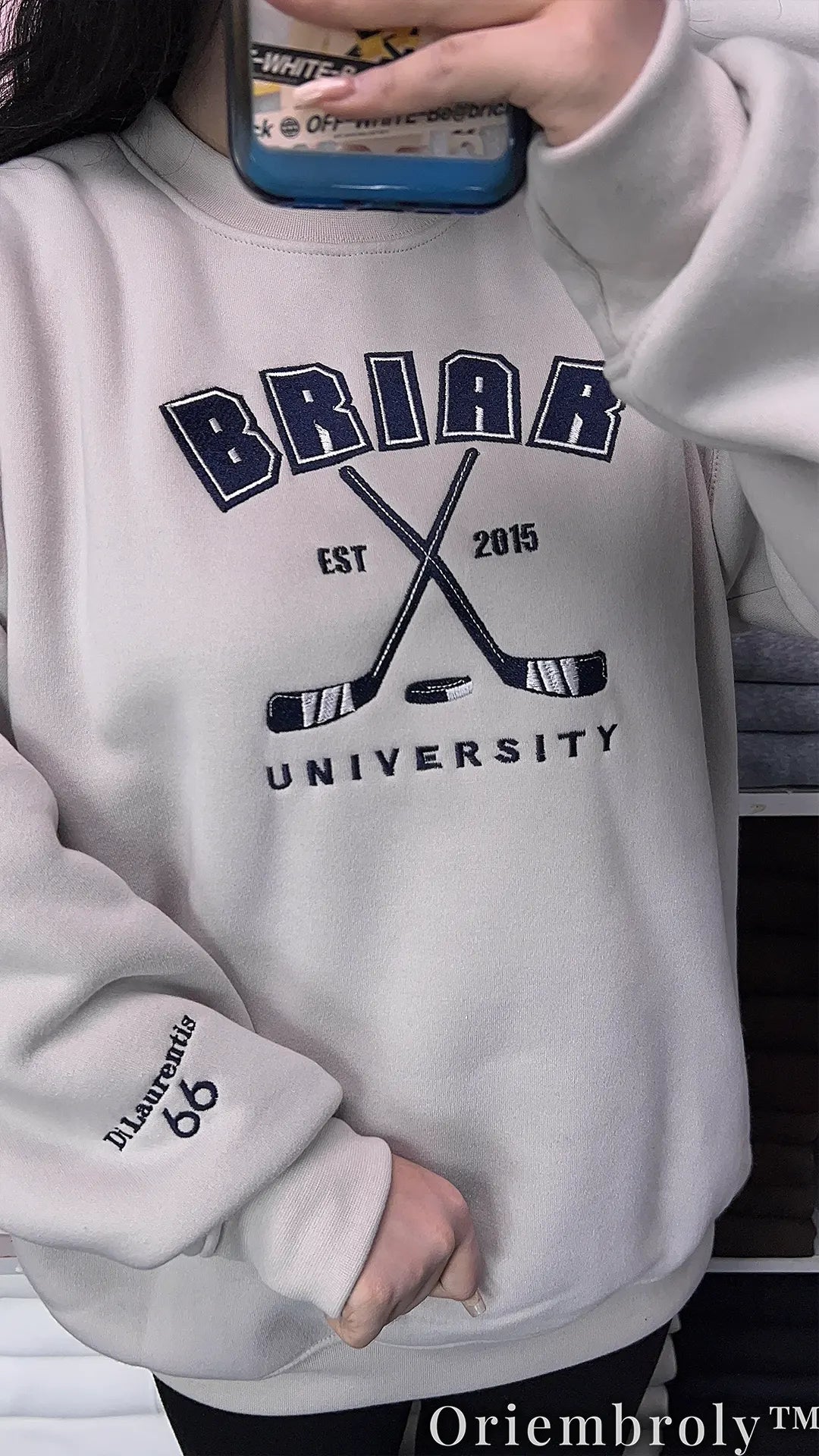 Briar University Collegiate Embroidered Sweatshirt