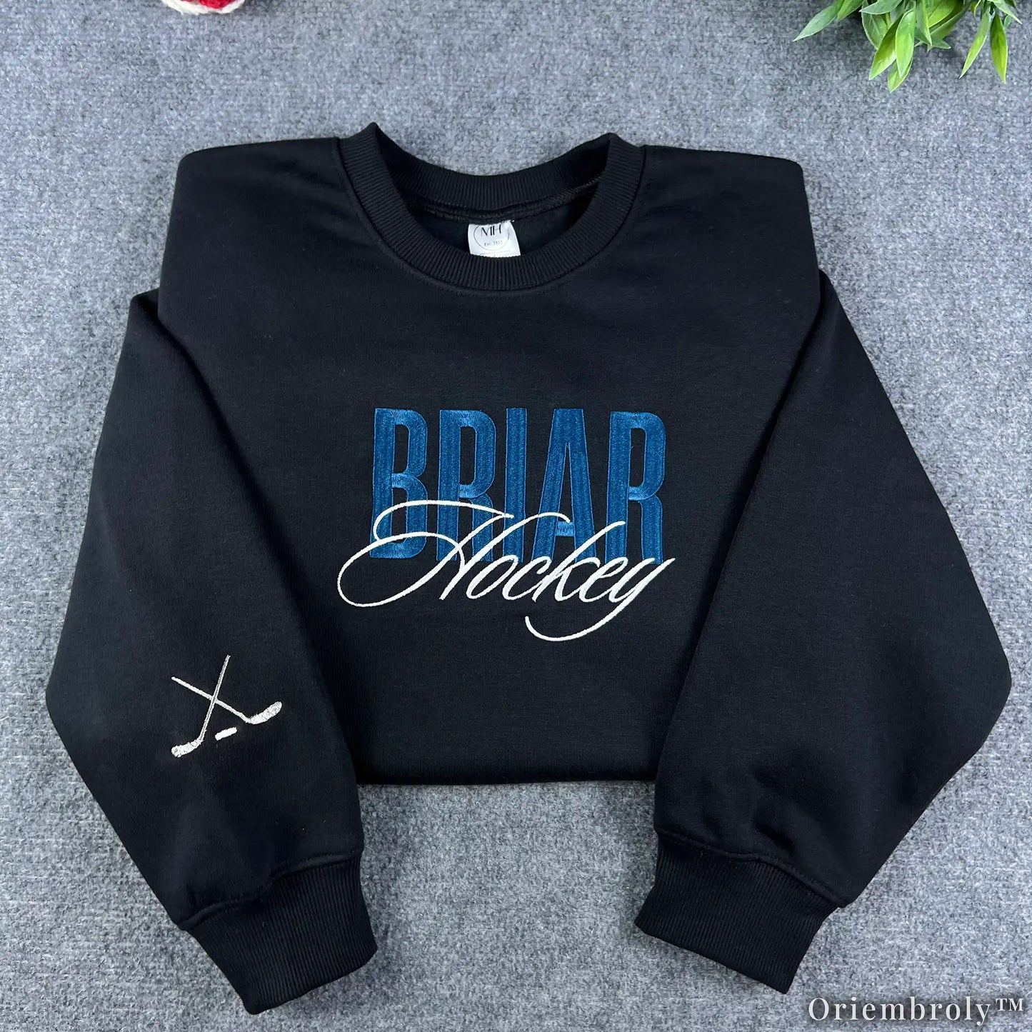 Briar University Embroidered Sweatshirt and Hoodie