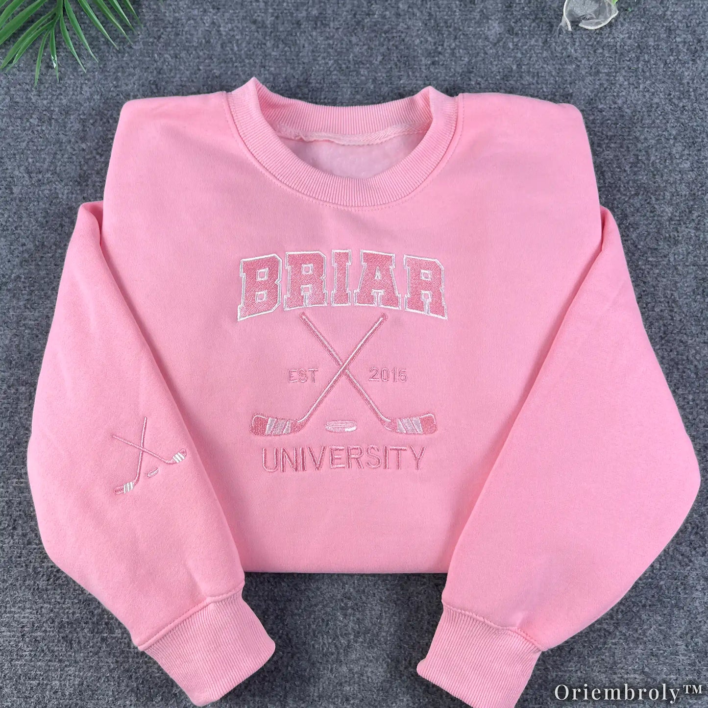 Embroidered Collegiate Varsity Sweatshirt