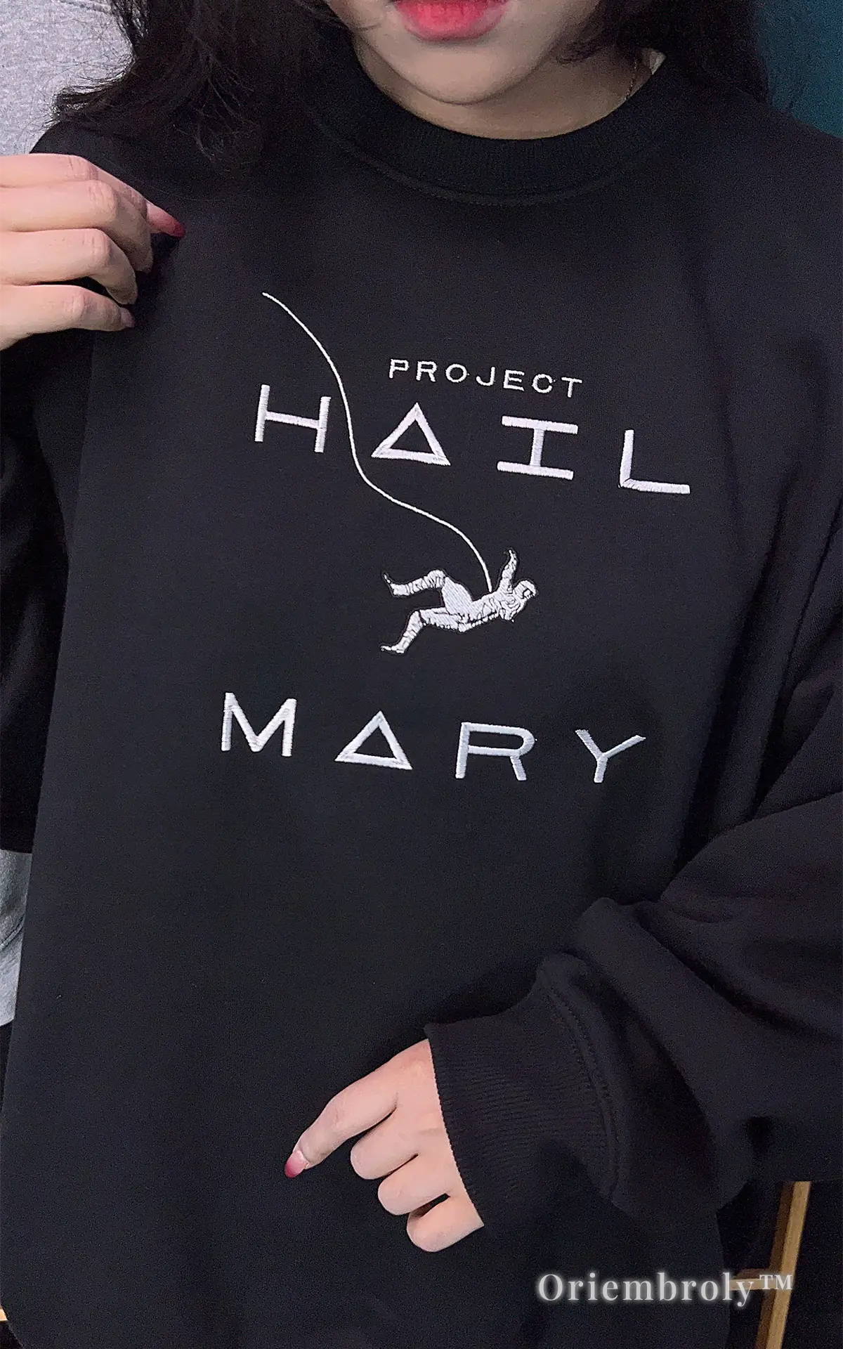 Aesthetic Project Hail Mary 2026 movie apparel: black embroidered sweatshirt for book and film lovers.