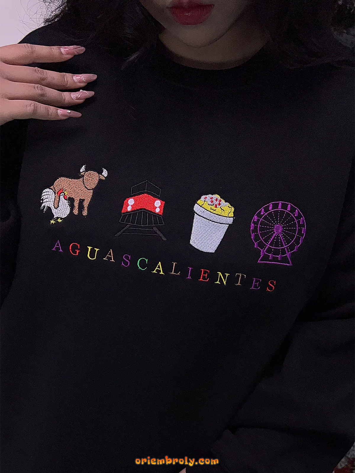 Cultural embroidery sweatshirt from central Mexico