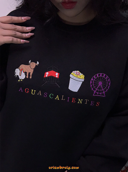 Cultural embroidery sweatshirt from central Mexico