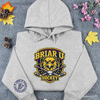 BookTok romance hoodie Briar University embroidery