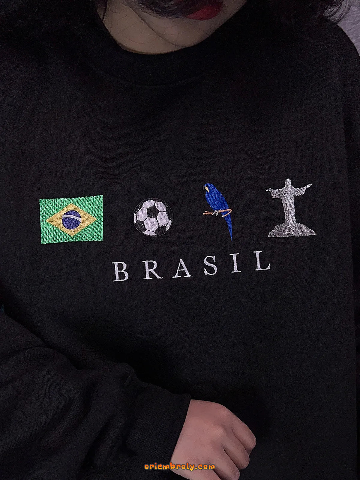Christ the Redeemer and Brazil embroidery hoodie