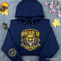 Briar U embroidered sweatshirt hockey romance hoodie