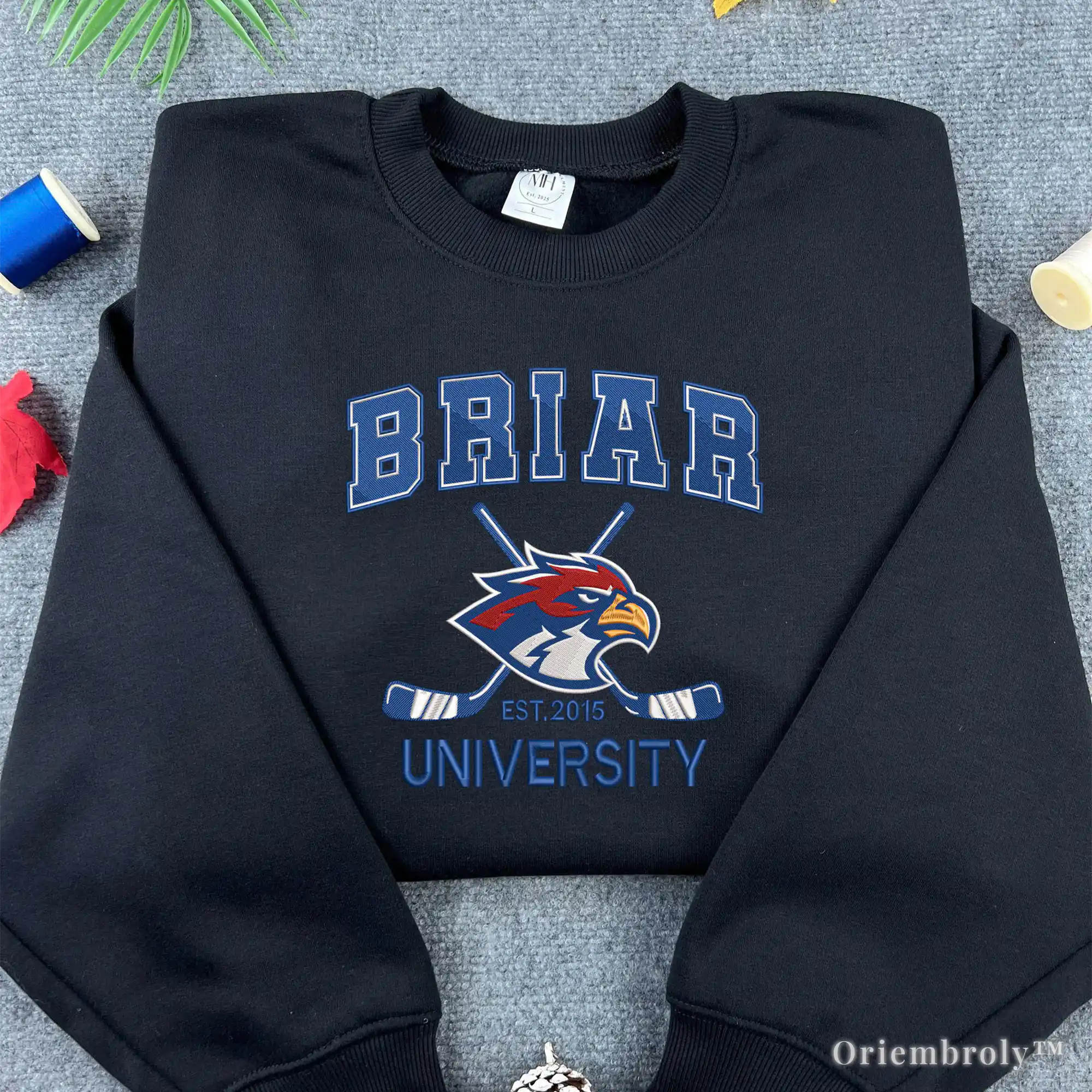 Briar University Embroidered Sweatshirt 
