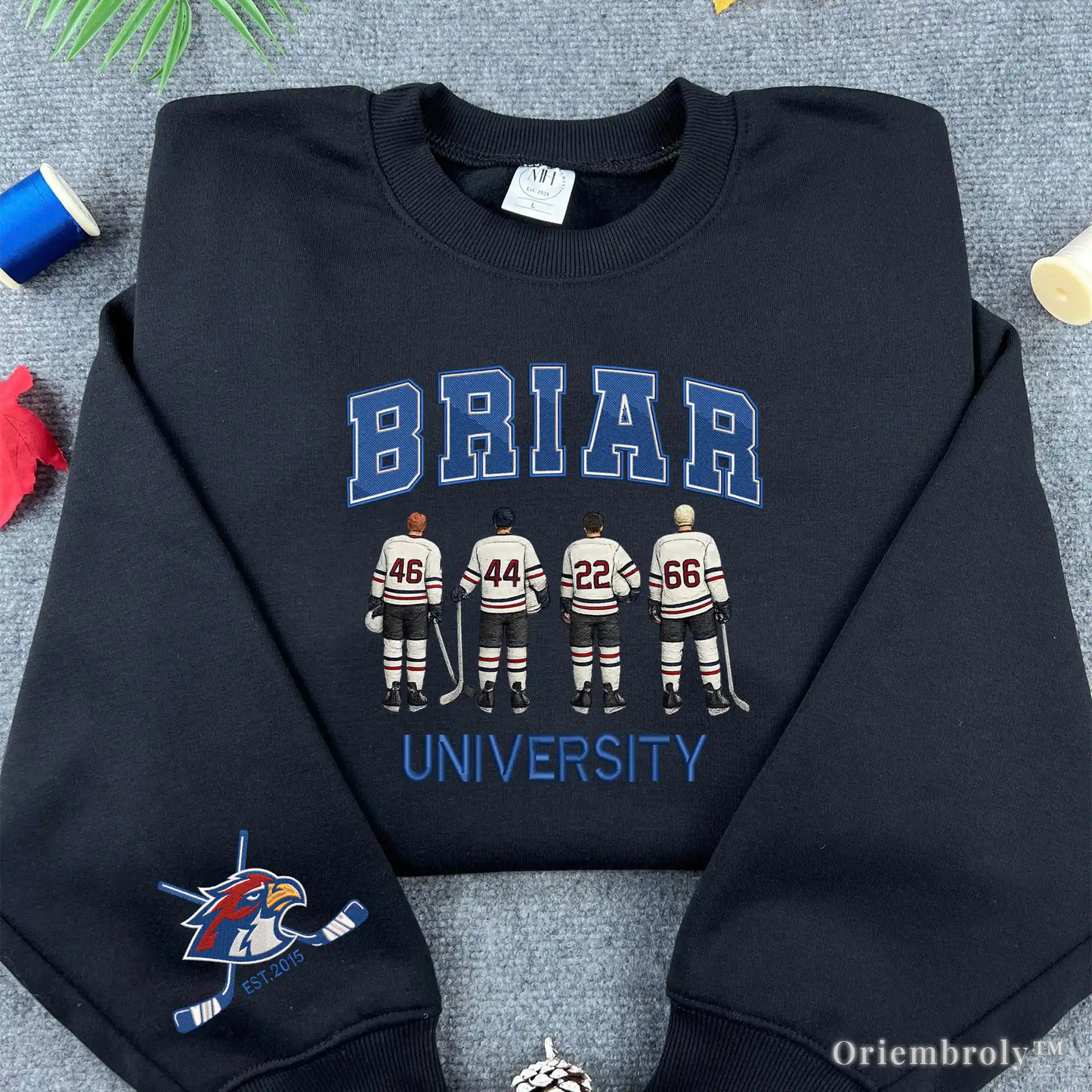 Briar University Hockey Embroidered Sweatshirt 