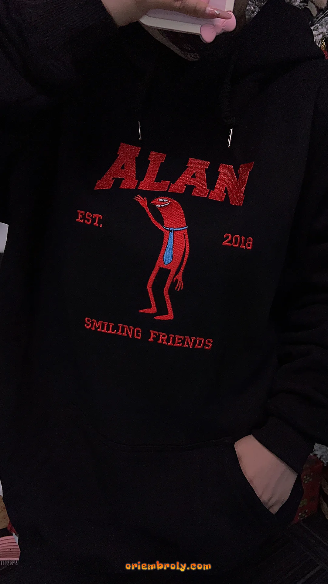 Bold red and blue embroidered cartoon hoodie