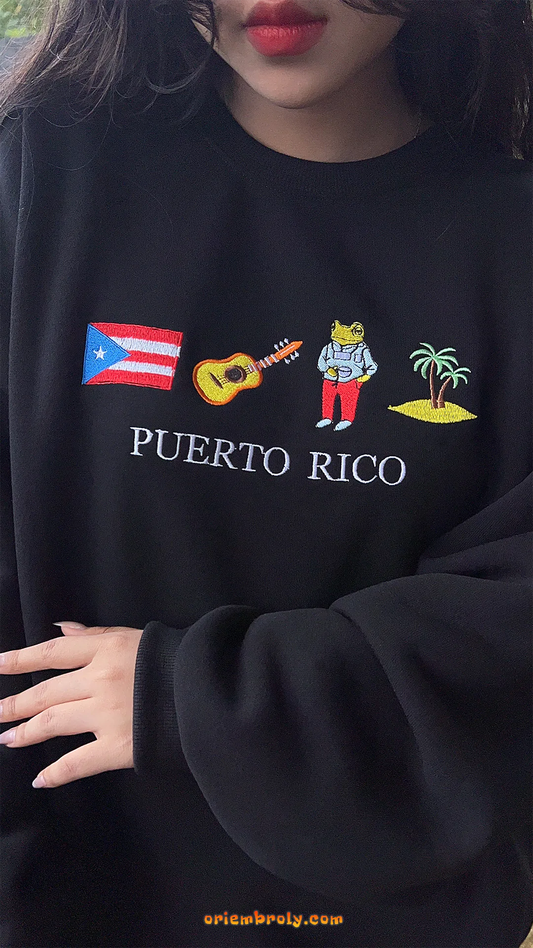 Puerto Rican flag embroidered sweatshirt unisex