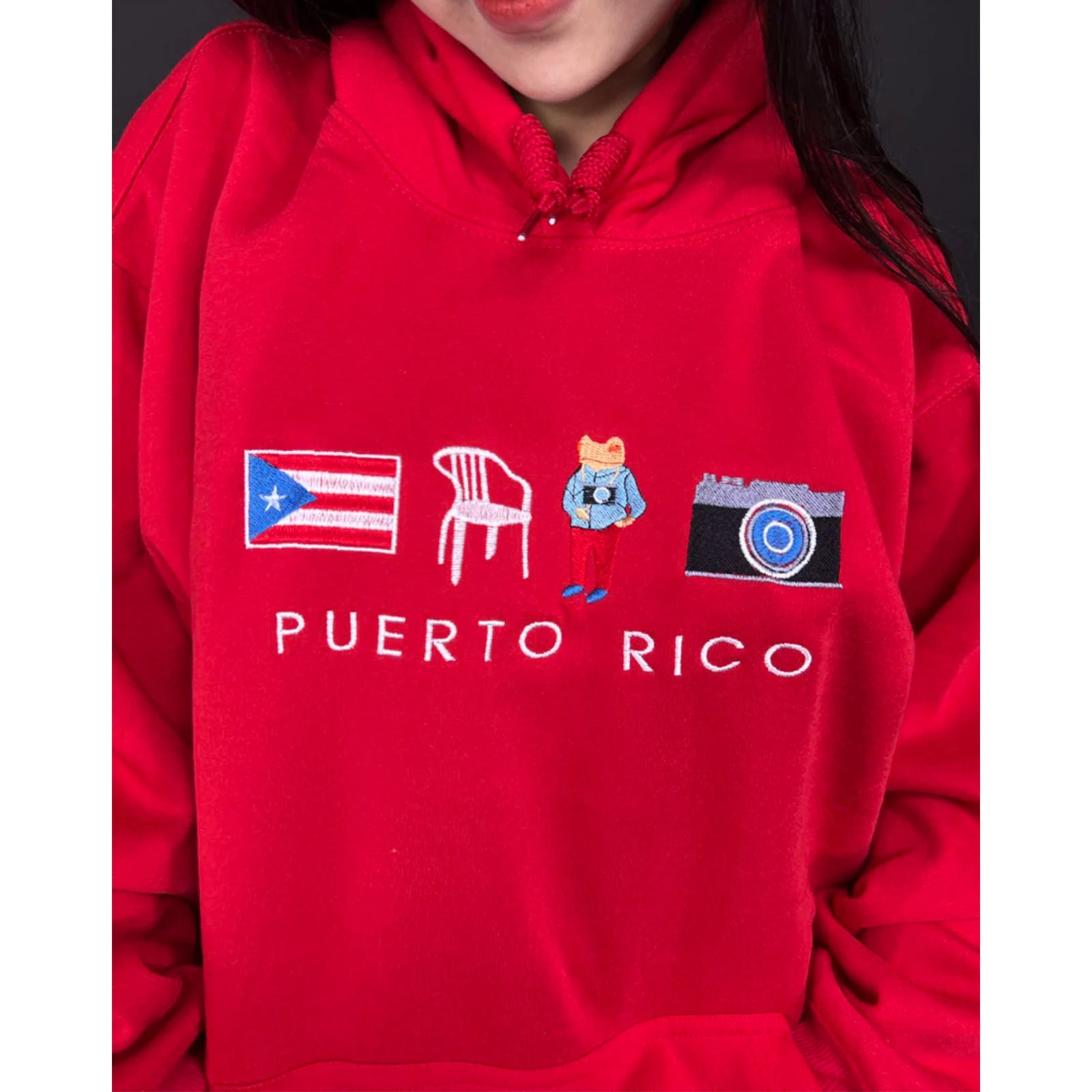 DTMF Puerto Rico embroidered crewneck inspired by Bad Bunny, custom embroidery sweatshirt for adults.