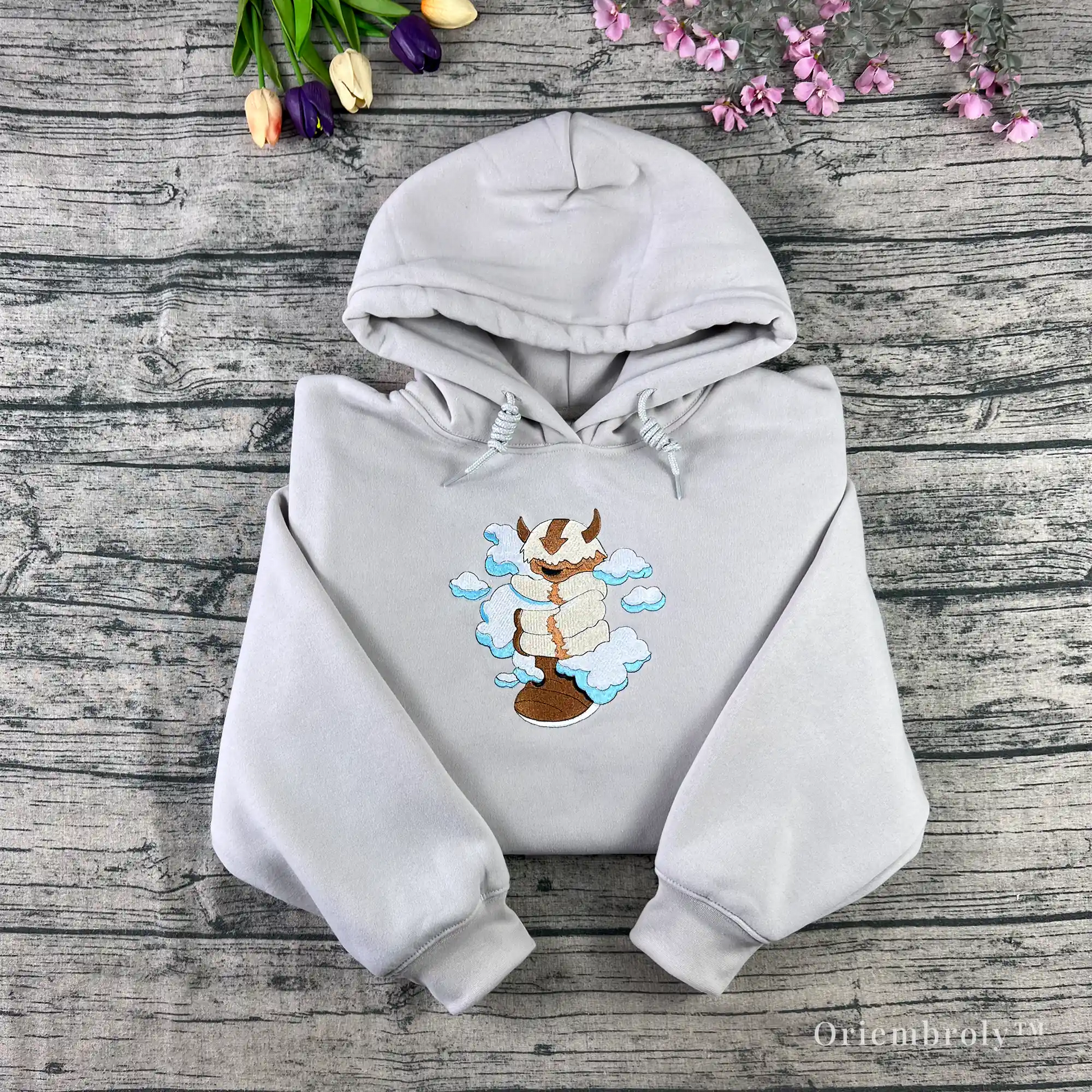 flying bison cloud embroidered hoodie thumnail