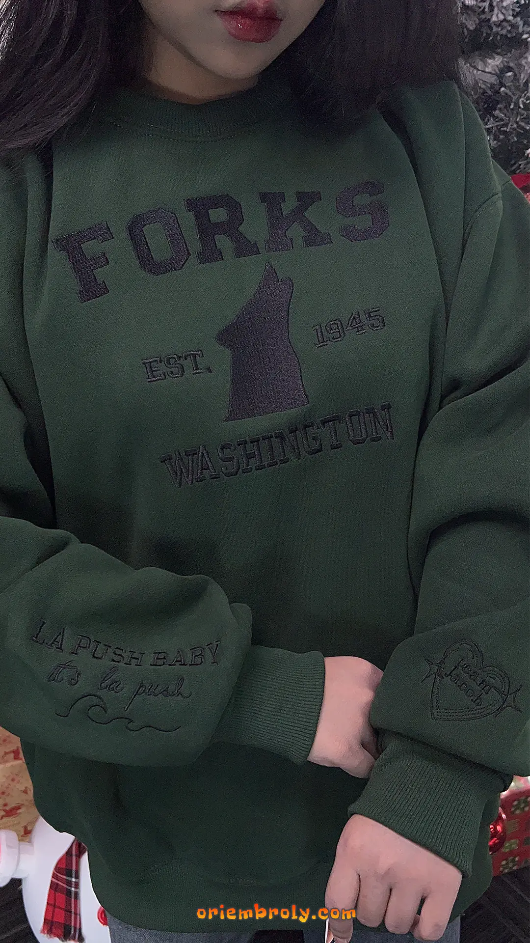Forks Washington wolf embroidered crewneck as a gift for him