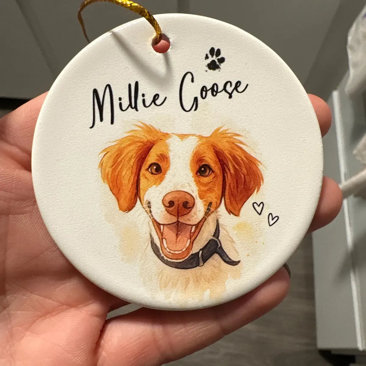 Custom Ornaments for Pets, Family, Couples, Kids, Cars & Characters