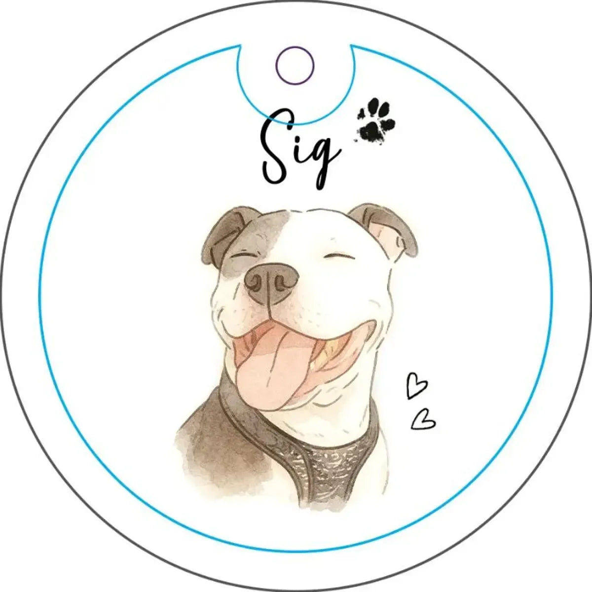 Custom Ornaments for Pets, Family, Couples, Kids, Cars & Characters