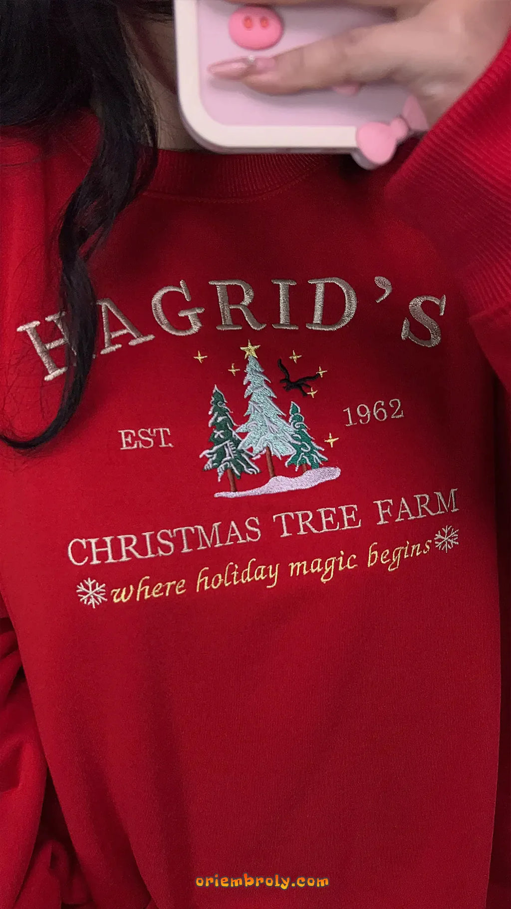 Magical winter embroidered crewneck in red
