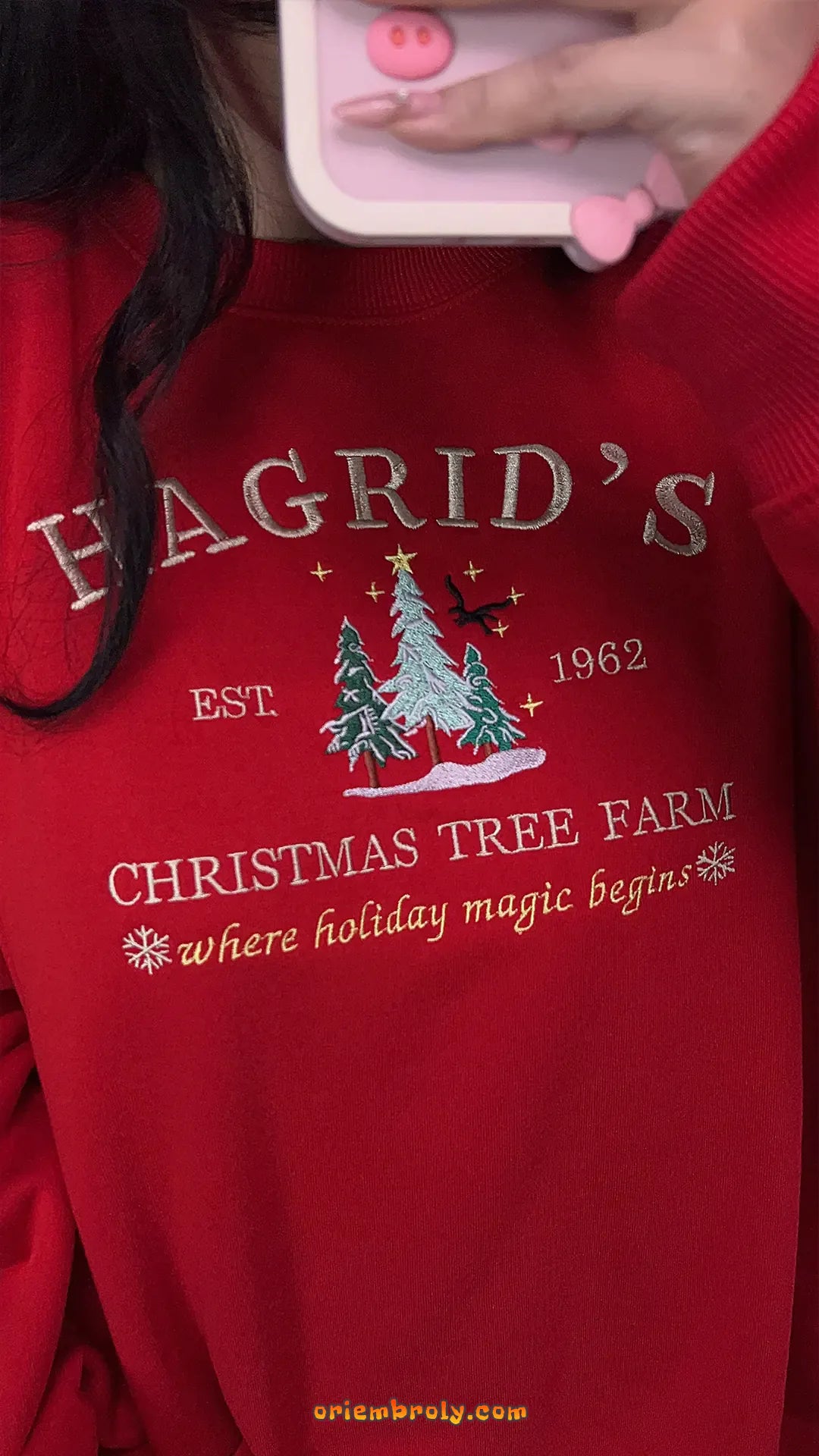 Magical winter embroidered crewneck in red