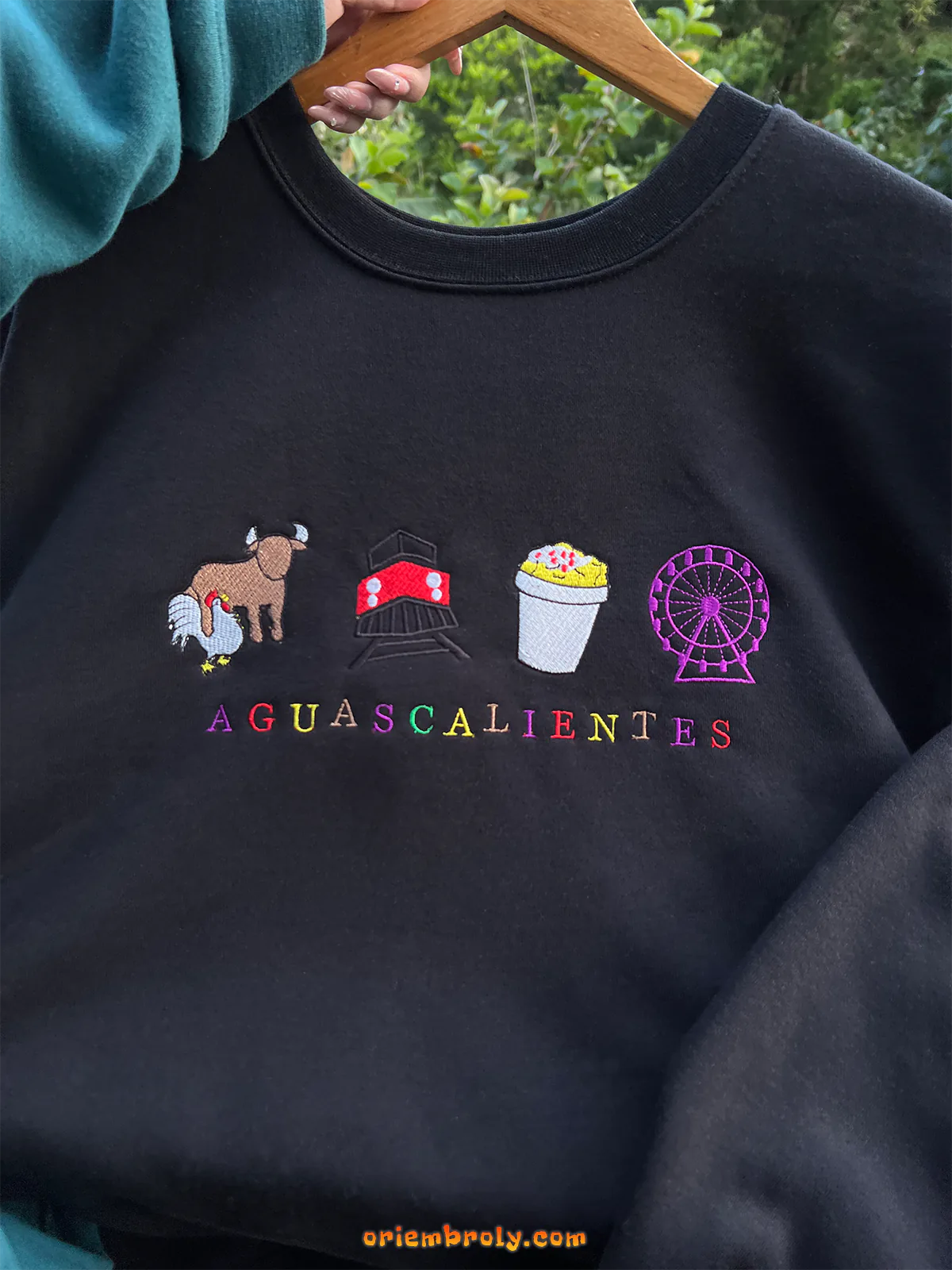 Aguascalientes state icon crewneck sweater