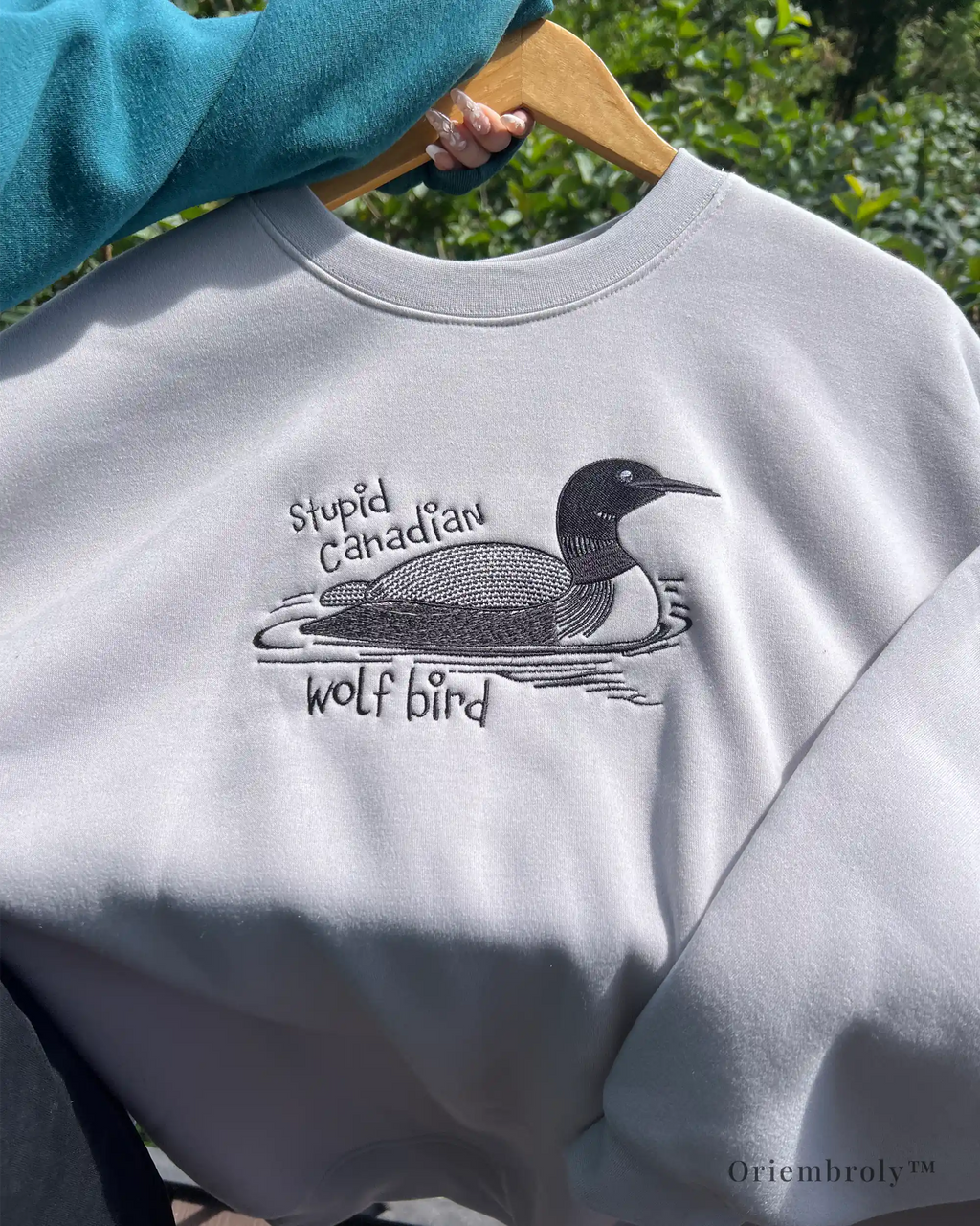 Gen Z style embroidered loon sweatshirt with subtle internet humor