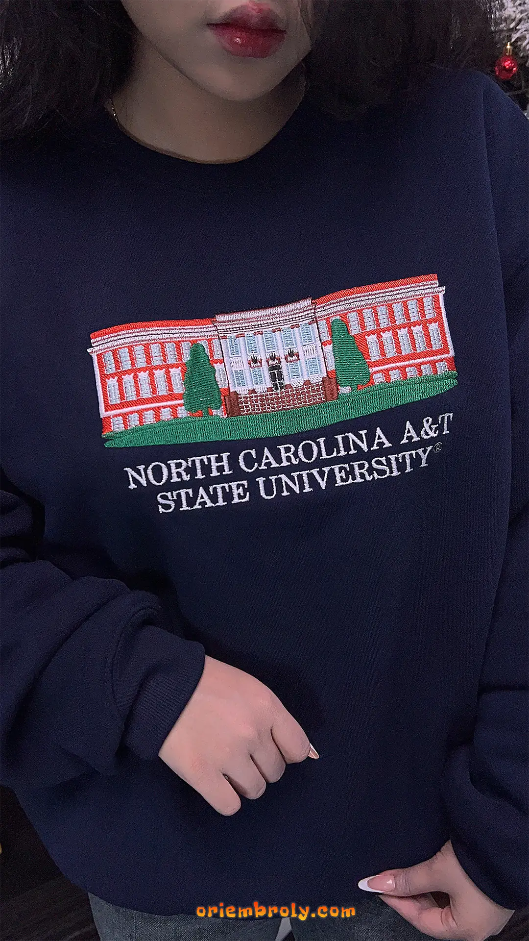 Classic NC A&T Aggies crewneck sweatshirt