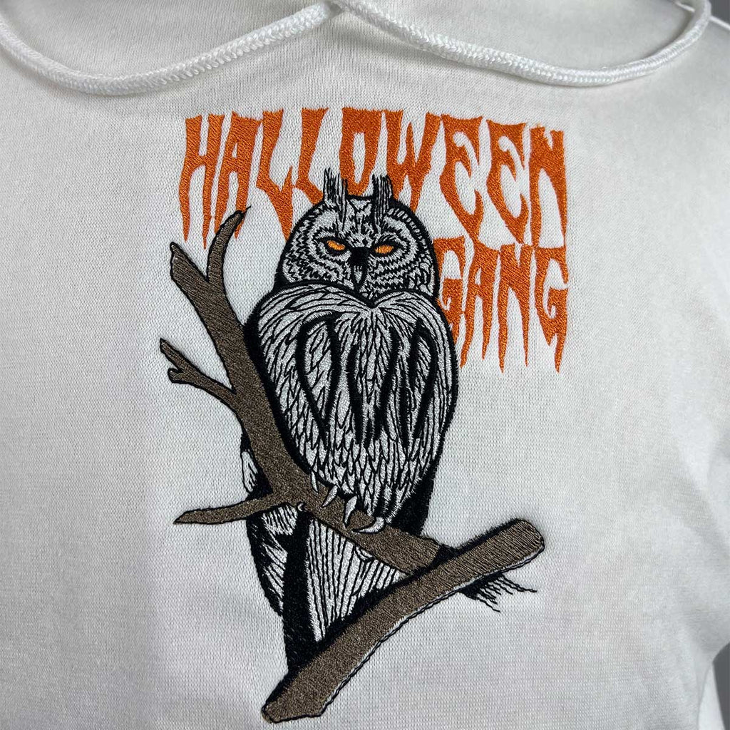 Halloween Embroidery Hoodie - Spooky Owl Gang, Perfect for Halloween