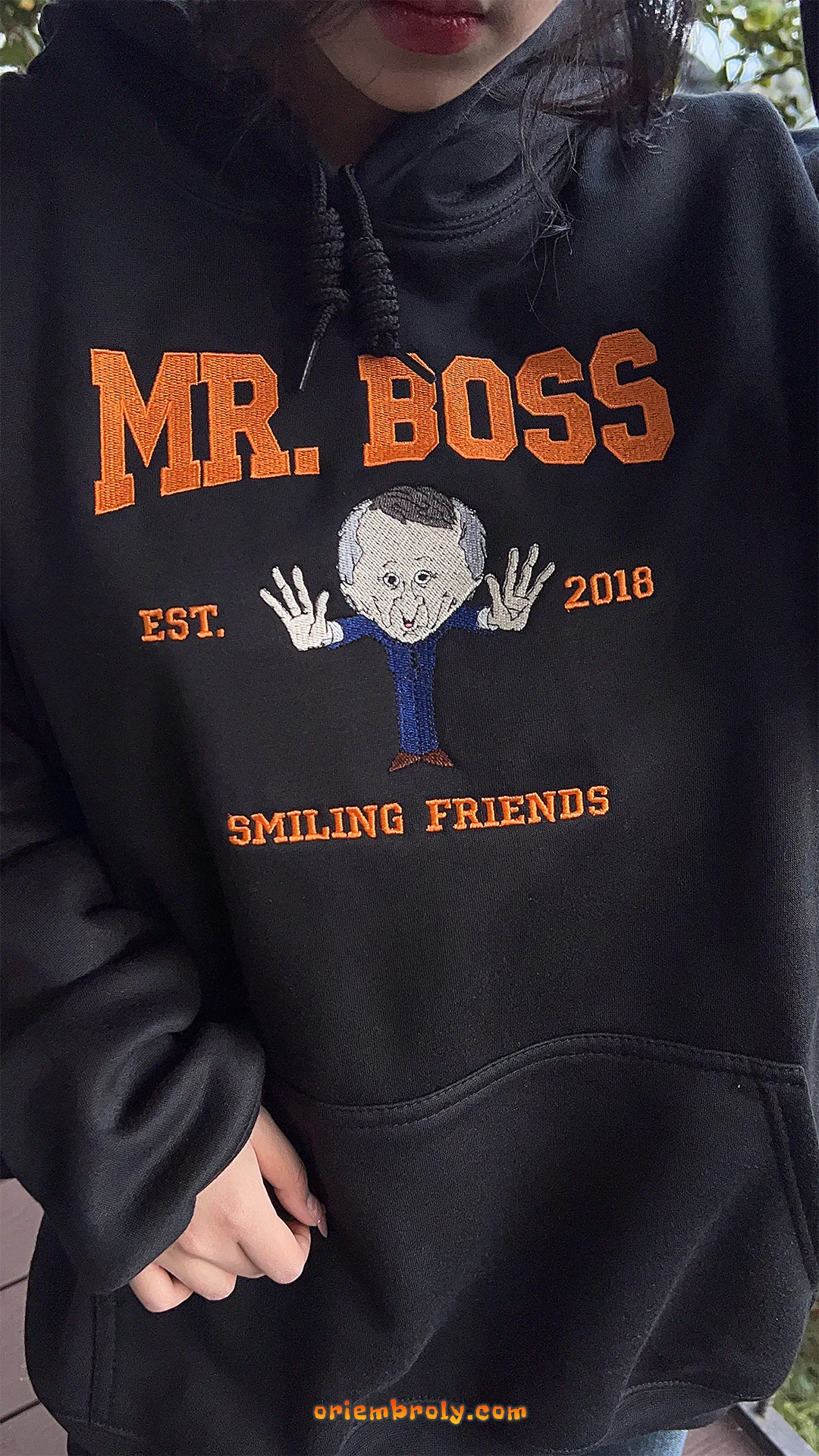 Unisex playful embroidered pullover