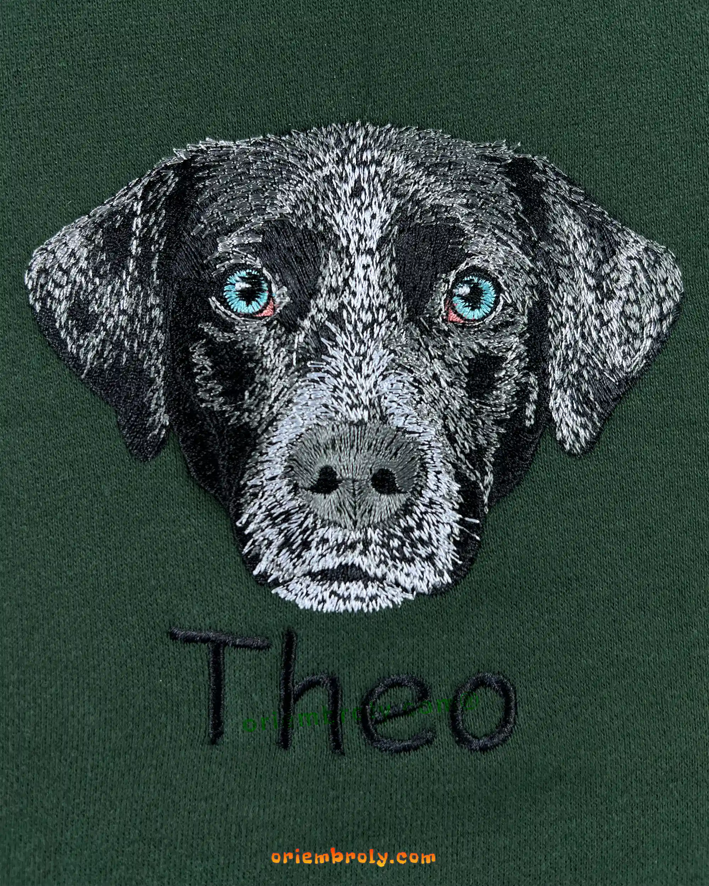Detailed dog portrait embroidery with blue eyes