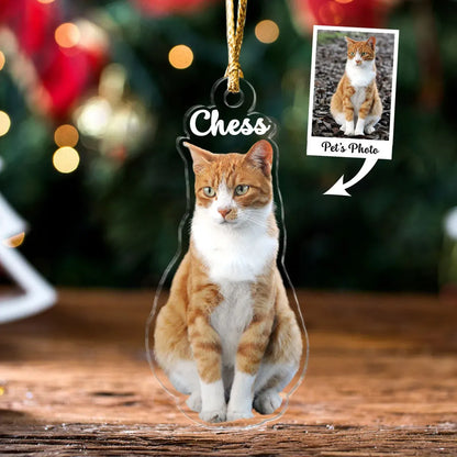 Personalized Christmas ornament featuring an orange and white cat named Chess