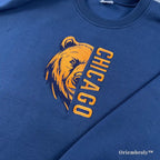 personalized varsity sweatshirt with custom embroidered text