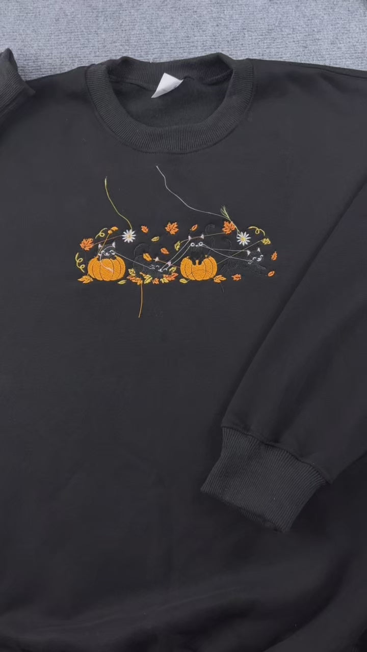 Black Cats in Pumpkins  Spooky Season