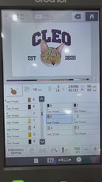 Video embroidery - Personalized embroidered sweatshirt featuring a pet’s name.