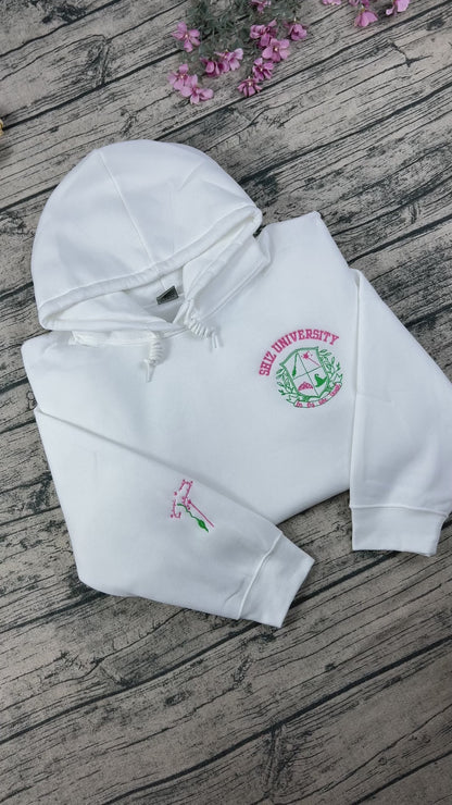 Embroidered Wicked Defy Gravity Pink Sweatshirt – Wizard of Oz Witch Crewneck, Halloween Broadway Musical Gift