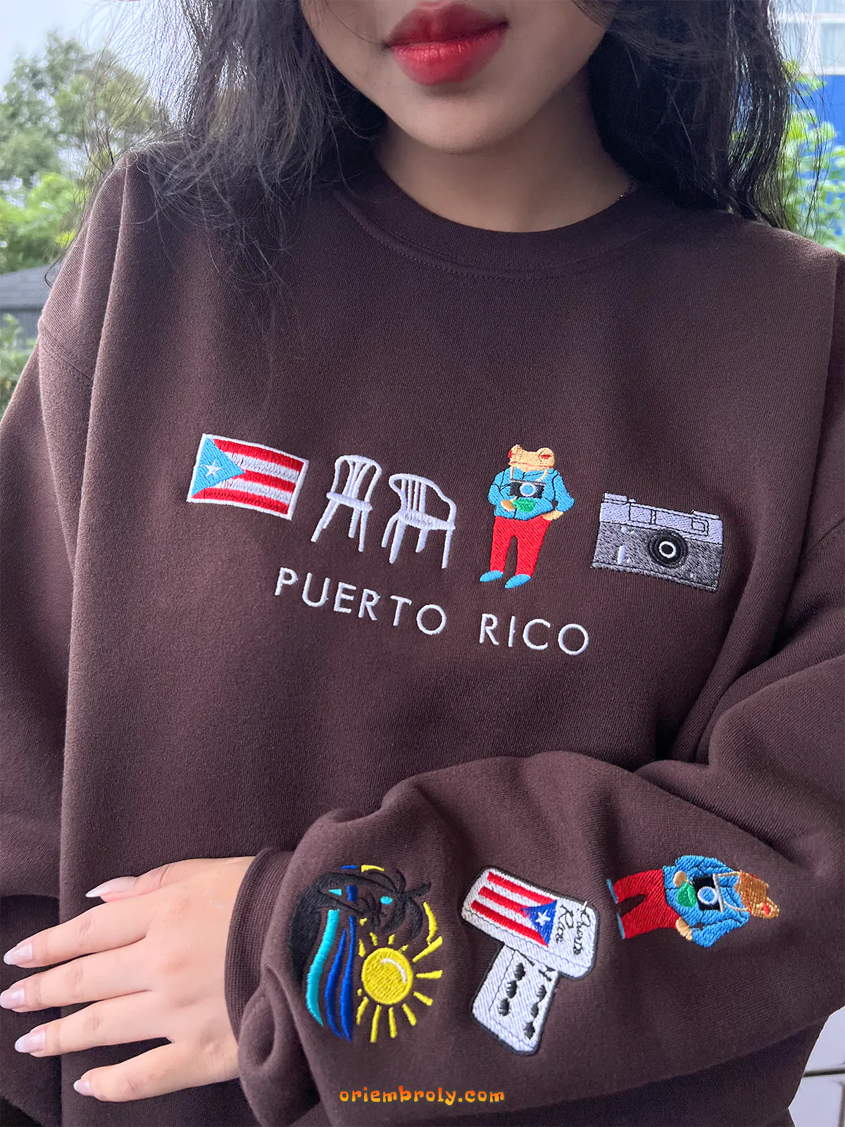 Puerto Rico Embroidered Crewneck | Custom Hoodie & Sweatshirt | Personalized Puerto Rico Shirt Gift