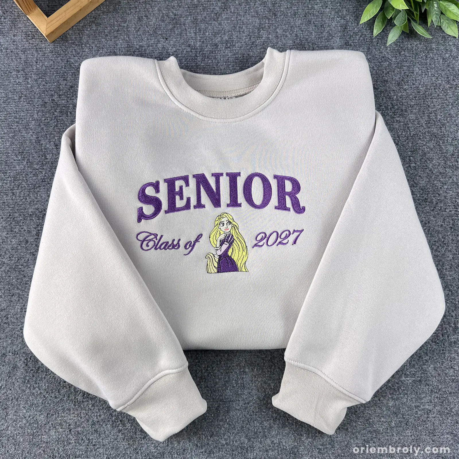 Senior Class of 2026 embroidered cream sweatshirt with fairytale princess design