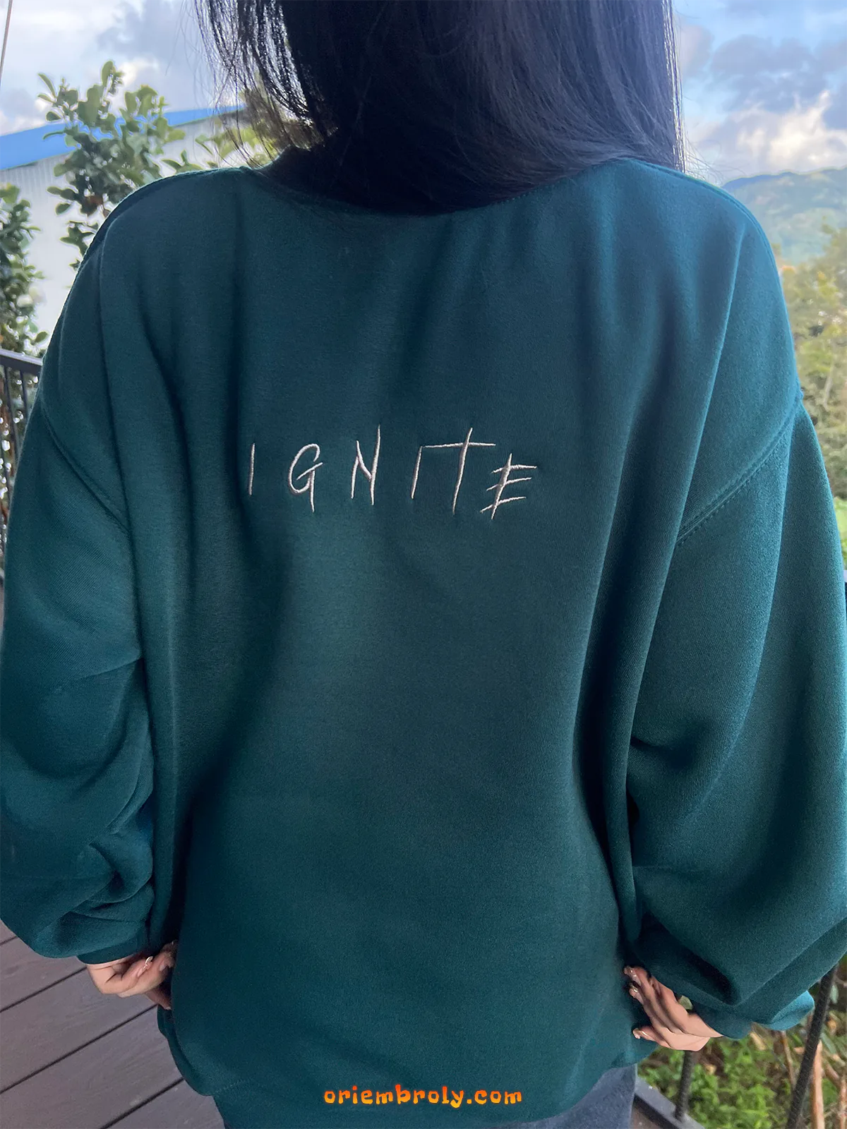 BookTok fantasy merch hoodie for YA fans