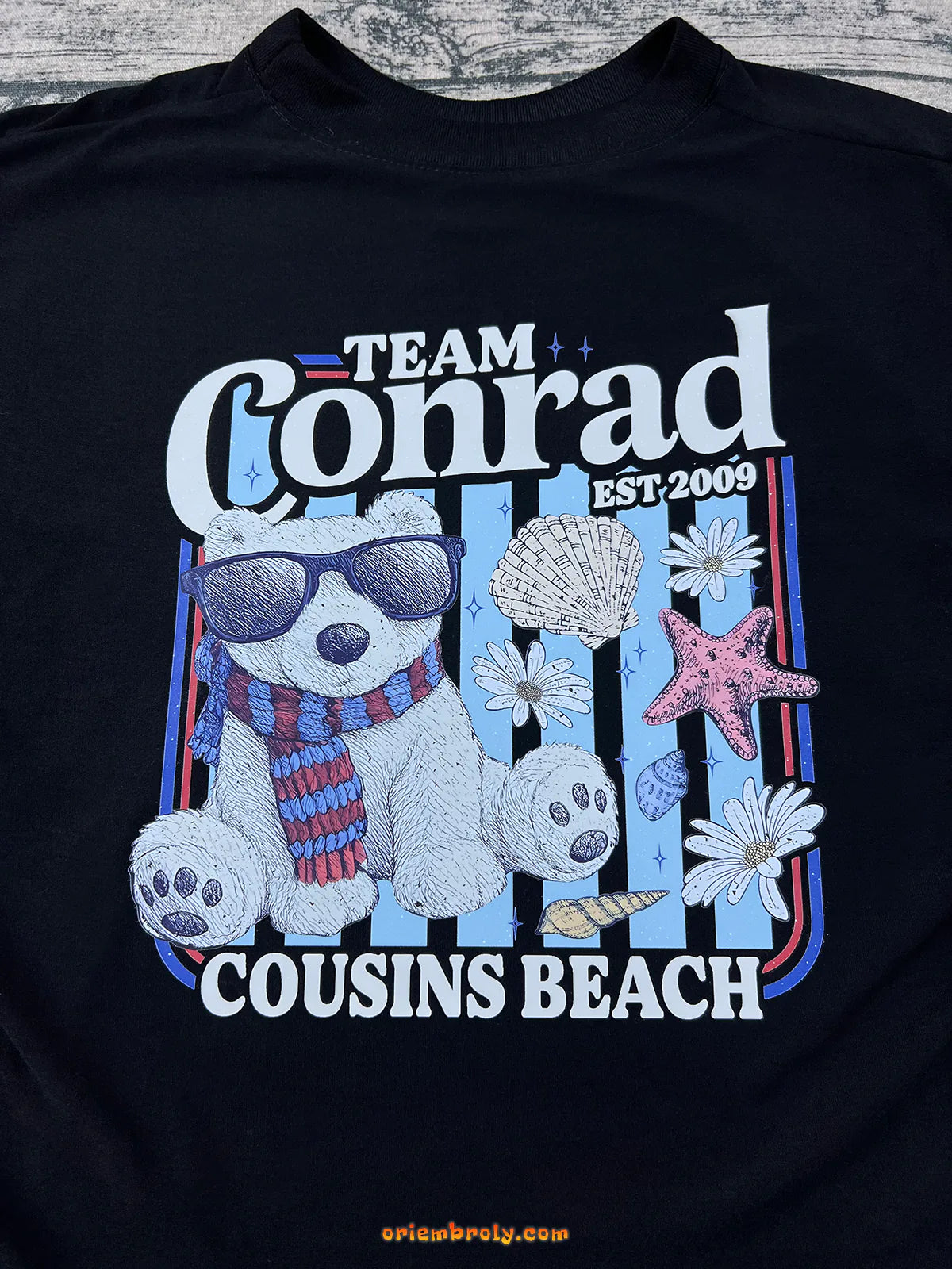 Team Conrad Shirt – Junior Mint Bear Tee, Cousins Beach T-Shirt, The Summer I Turned Pretty Fan Apparel