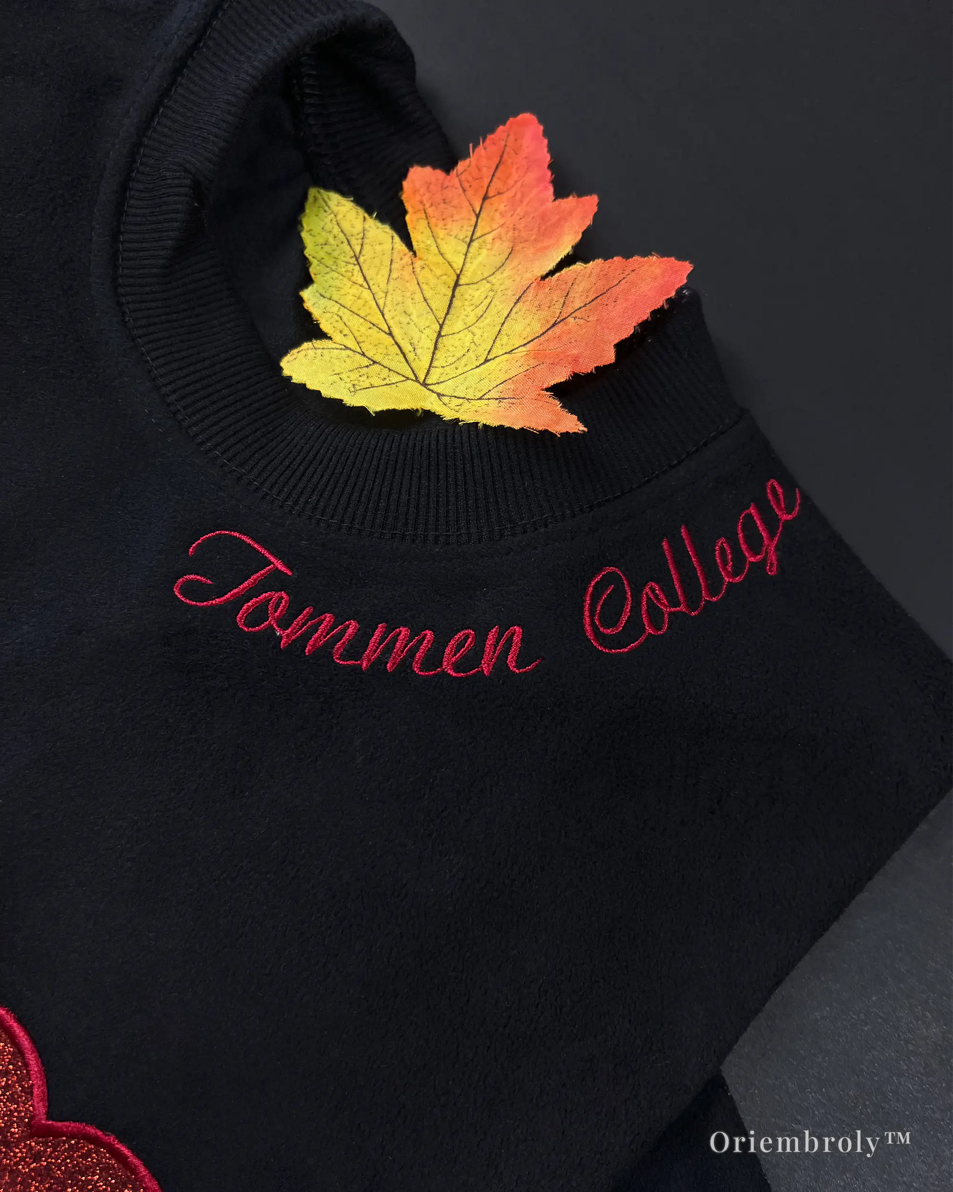 collegiate varsity embroidered crewneck flat lay