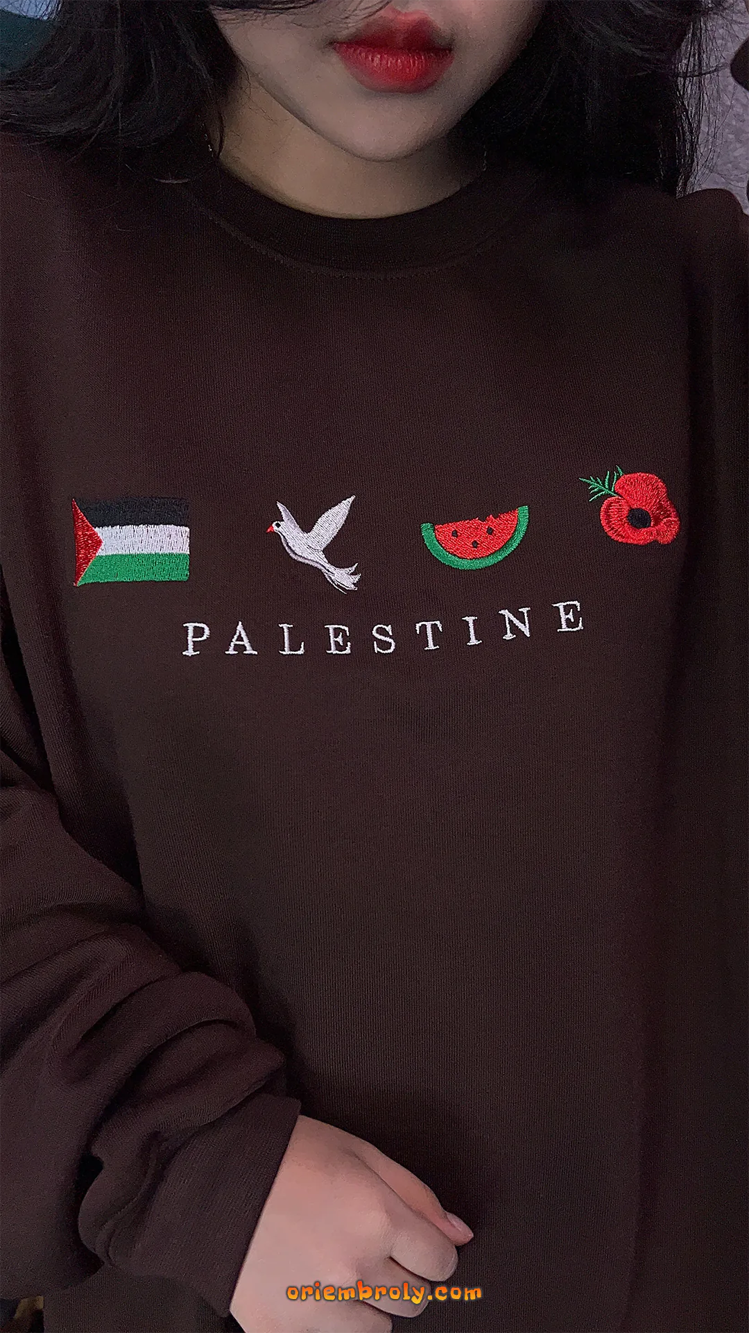 Watermelon Palestine symbol embroidered sweater