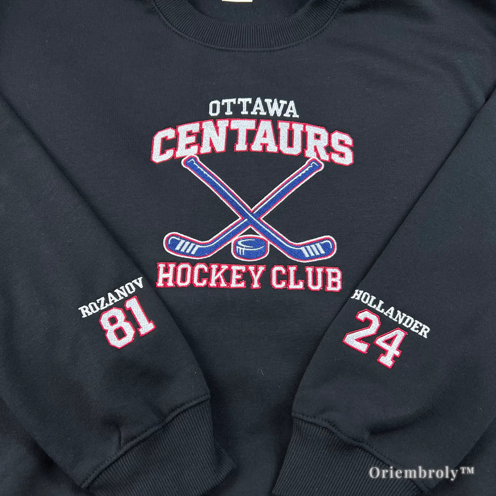 varsity hockey sweatshirt collegiate style embroidered hoodie